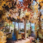 In The Picturesque Oasis & * Lozenets