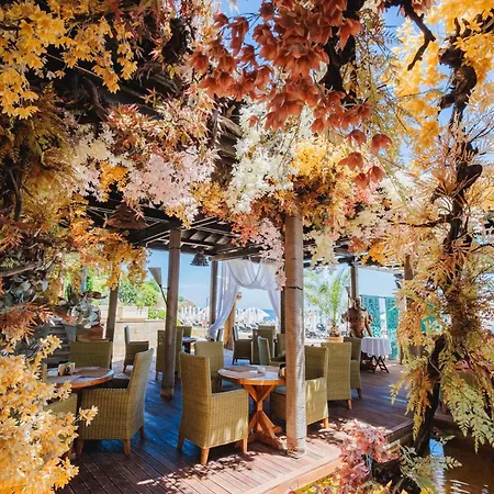 In The Picturesque Oasis & * 로제넷츠